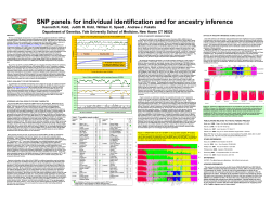 Poster for NIJ annual meeting, Arlington VA, June 2009&nbsp;