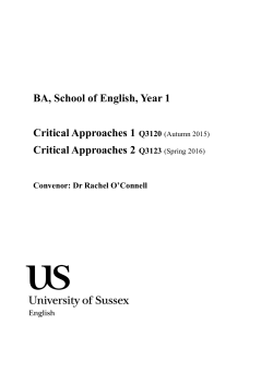 Critical Approaches [PDF 256.36KB]