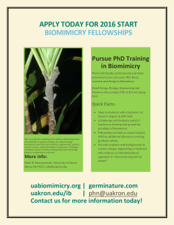 Download a Biomimicry Fellowship Flyer