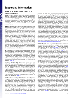 Supporting Information pdf