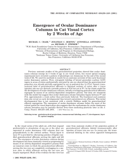 Crair et al., 2001