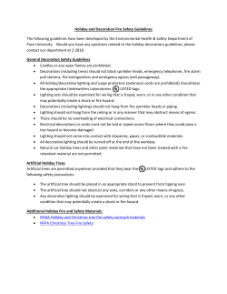 Holiday and Decorations Fire Safety Guidelines
