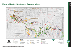 Known raptor nests and roosts