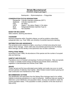 Striate Mountainsnail