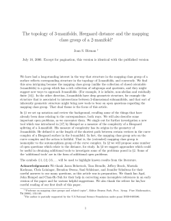 "The topology of 3-manifolds, Heegaard distance and the mapping class group of a 2-manifold"