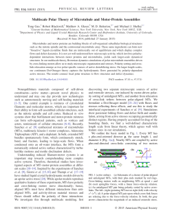 Multiscale polar theory of Microtubule and Motor-Protein Assemblies