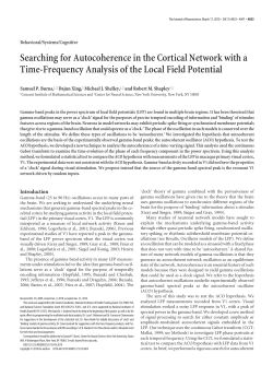 Searching for autocoherence in the cortical network with a time-frequency analysis of the local field potential