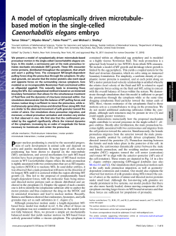 A model of cytoplasmically-driven microtubule-based motion in the single-celled C. elegans embryo