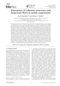 Emergence of Coherent Structures and Large-Scale Flows in Motile Suspensions