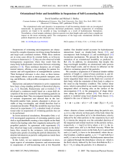 Orientational order and instabilities in suspensions of self-locomoting rods