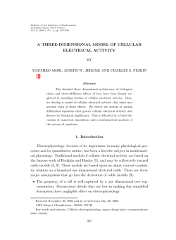A three-dimensional model of cellular electrical activity.