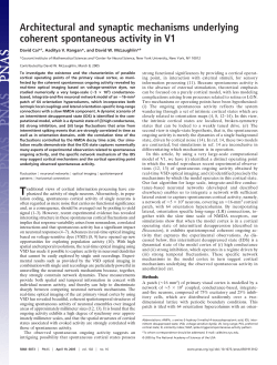 Architectural and Synaptic Mechanisms Underlying Coherent Spontaneous Activity in V1, D. Cai, A.V. Rangan and D.W. McLaughlin, Proc. Nat. Acad. Sci. 102, 5868 (2005)