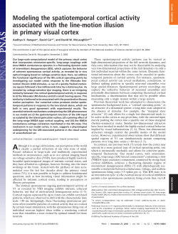 Modeling the Spatiotemporal Cortical Activity Associated with the Line-Motion Illusion in Primary Visual Cortex, A.V. Rangan, D. Cai and D.W. McLaughlin, Proc. Nat. Acad. Sci. 102, 18793 (2005)