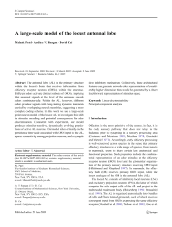 A Large-scale Model of Locust Antennal Lobe, M. Patel, A.V. Rangan, and D. Cai, published June 2009, DOI 10.1007/s10827-009-0169-z J. Comp. Neurosci. (2009)
