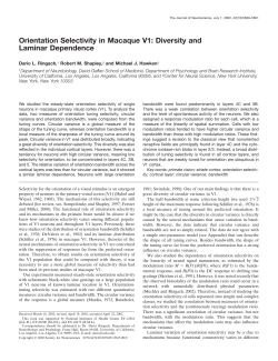 McLaughlin, D.; Shapley, R.; Shelley, M.; Wielaard, J. A Neuronal Network Model of the Macaque Primary Visual Cortex V1: Orientation Tuning and Dynamics in the Input Layer 4Ca. Proc. Nat. Acad . 97 (2000), no. 14, 8087-8092.