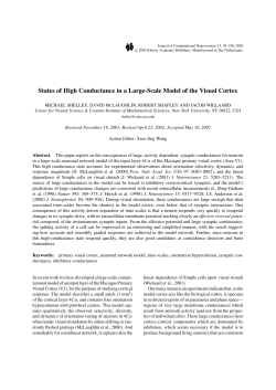 Shelley M.; McLaughlin D.; Shapley R.; Wielaard J. States of high conductance in a large-scale model of the visual cortex. J. Comput. Neurosci. 13 (2002), no. 2, 93-109.