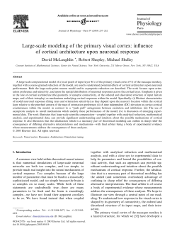 McLaughlin, D.; Shapley, R.; Shelley, M. Large-scale modeling of the primary visual cortex: influence of cortical architecture upon neuronal response. J. Physiol . Paris 97 (2003), no. 2-3, 237-252.