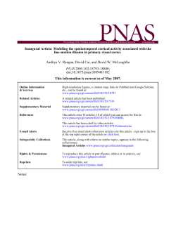 Rangan, A.; Cai, D.; McLaughlin, D. Modeling the spatio-temporal cortical activity associated with the line-motion illusion in primary visual cortex. PNAS 102 (2005), no. 52, 18793-18800.