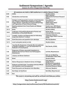 Conference Flyer and Agenda