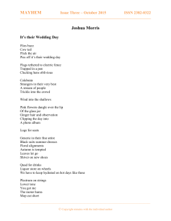 Download It's Their Wedding Day