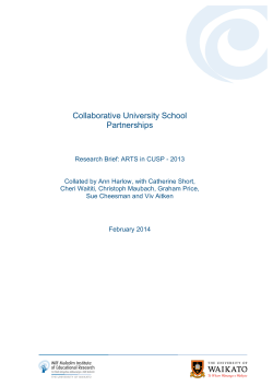 Collaborative University School Partnerships Research Brief: ARTS in CUSP - 2013