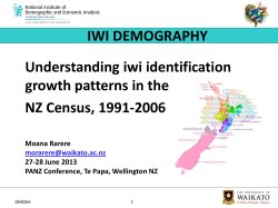 Beyond Te Iwi Māori: Understanding patterns of tribal identification in the New Zealand census, 1991-2006