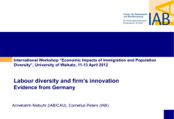 Labor diversity and firm&rsquo;s innovation &ndash; evidence from Germany
