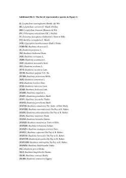 Download this supplementary material