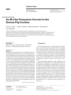 Download PDF