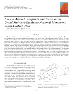 Ancient Animal Footprints and Traces in the Grand Staircase-Escalante National Monument, South-Central Utah