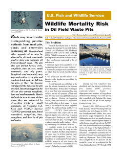 http://www.fws.gov/mountain-prairie/contaminants/papers/pitrisk.pdf