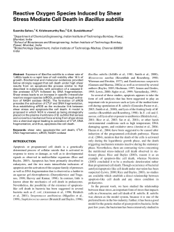 1131.pdf