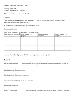 Merit Activity Form for professors
