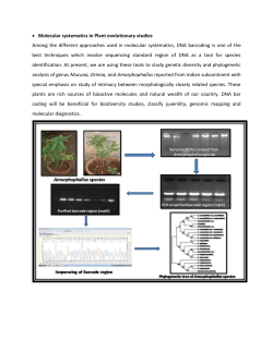Molecular systematics in plant evolutionary studies