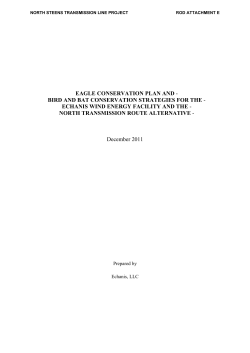 Attachment E: Eagle Conservation Plan and Bird and Bat Conservation Strategies for the Echanis Wind Energy Facility and the North Transmission Route Alternative