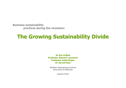 Business Sustainability Practices During The Recession: The Growing Sustainability Divide