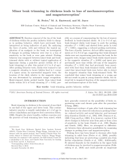 Minor beak trimming in chickens leads to loss of mechanoreception and magnetoreception