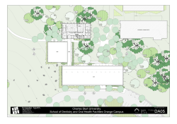 Orange Floor Plan Level 3