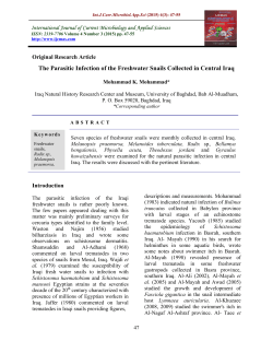 View Full Text-PDF