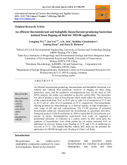 View Full Text-PDF