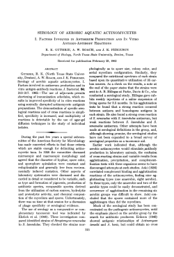 Download PDF