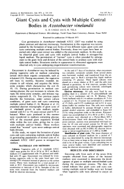Download PDF