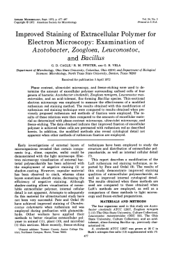 Download PDF