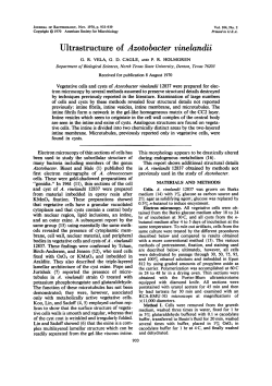 Download PDF