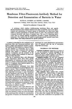 Download PDF