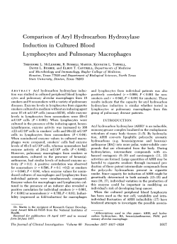 Download PDF