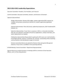 2013-2014 GSG Leadership Expectations