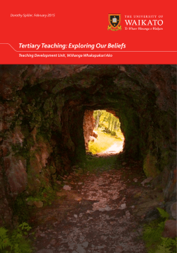 Tertiary Teaching: Exploring Our Beliefs