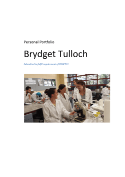 by Brydget Tulloch - Personal Portfolio