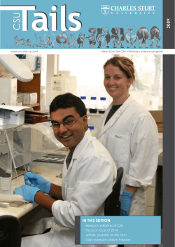 CSU Tails | 2009 Edition [PDF]